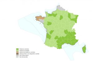 Carte de répartition du Grand Calosome en France métropolitaine
