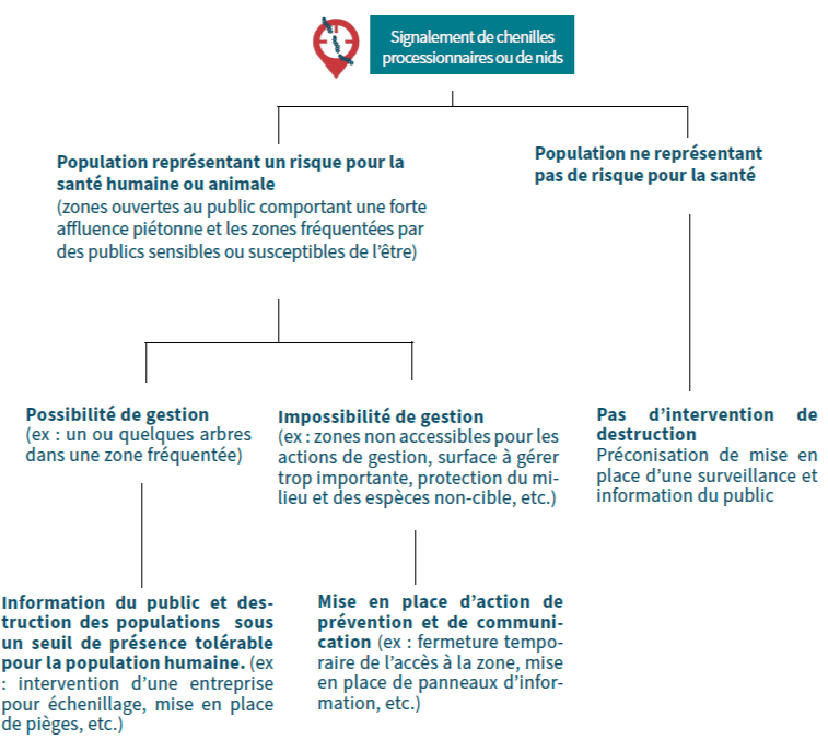 logigramme signalement des chenilles processionnaires destruction se débarrasser